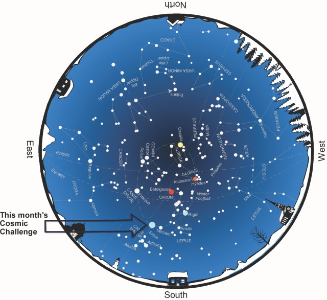 Stargazing: Sirius reaches its highest point