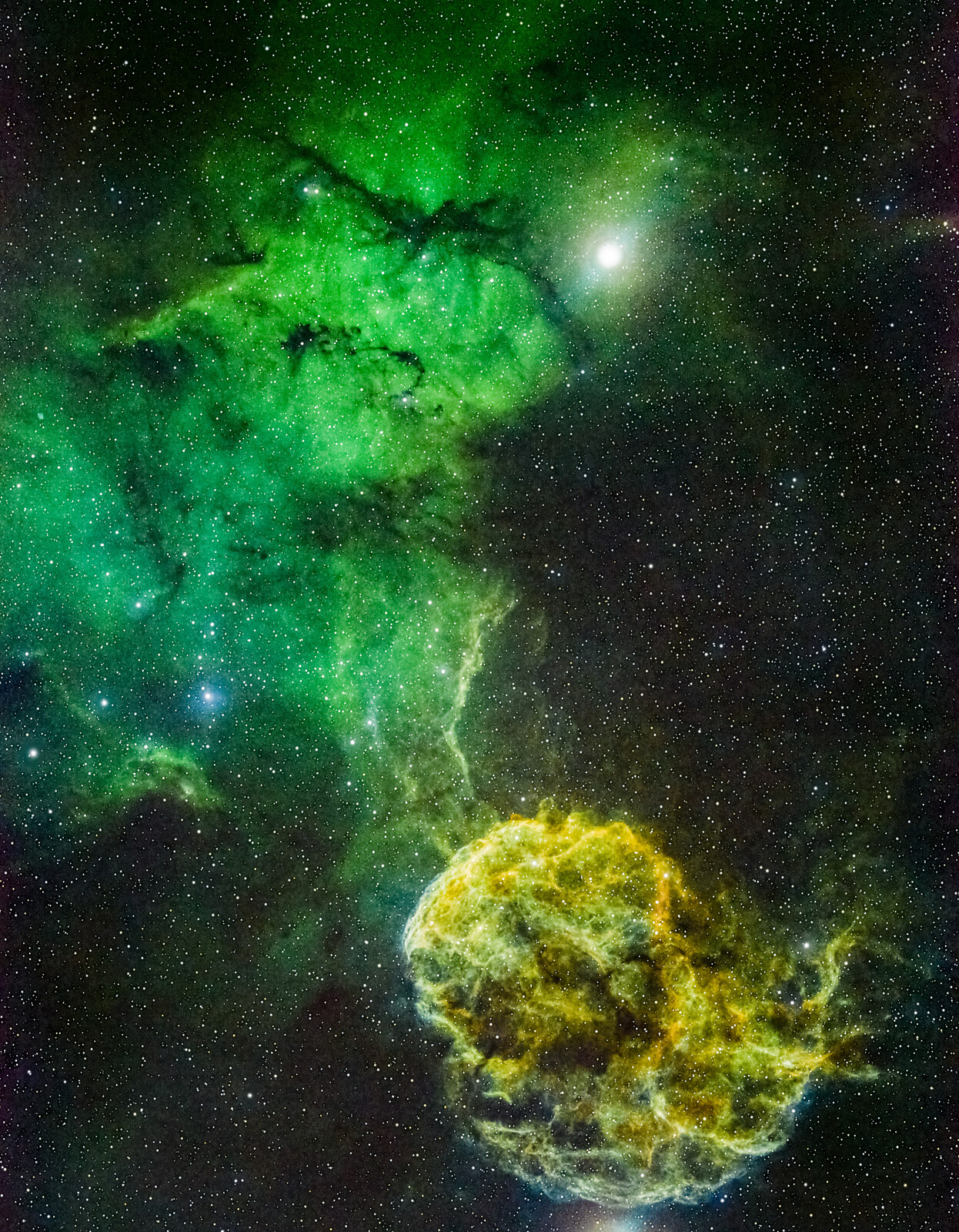 Jellyfish Nebula In Sho Ap Images Photo Gallery Cloudy Nights