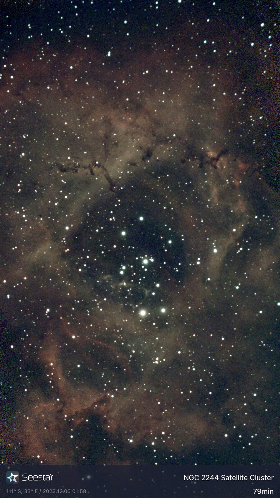 NGC 2244 Satellite Cluster Rosette Nebula Straight Out Of The Seestar