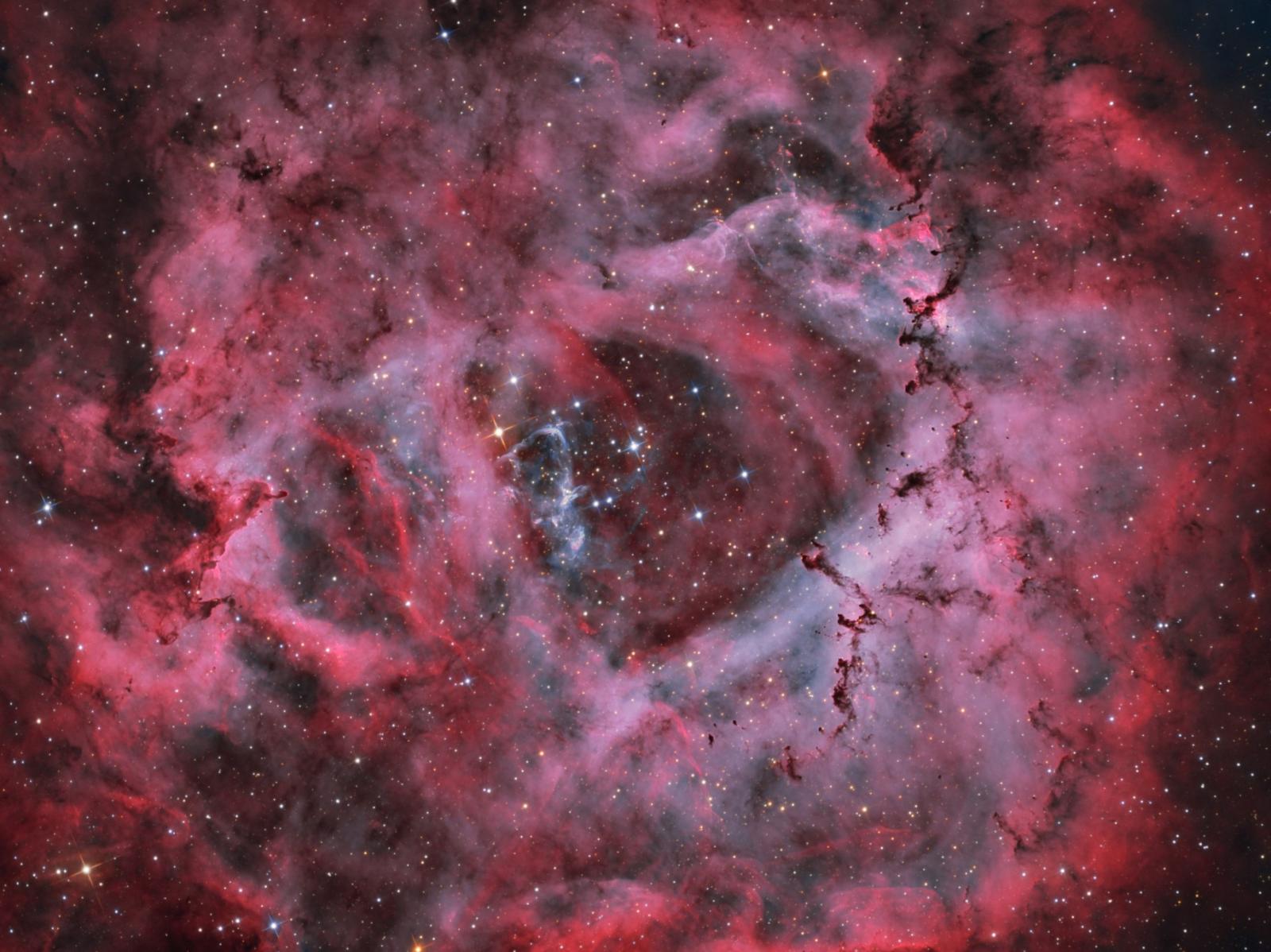 Ngc Rosette Nebula Bicolor With Rgb Stars Experienced Deep