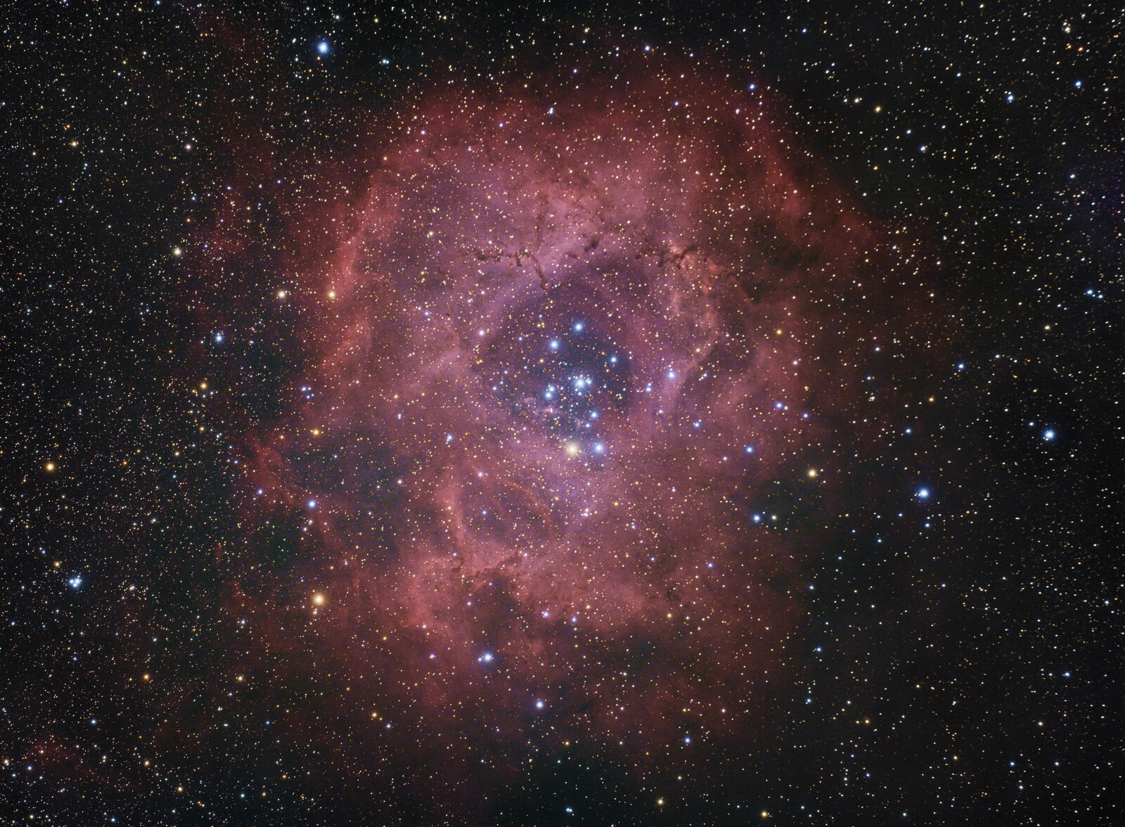 NGC 2238 Rosette Nebula - Astropics - Photo Gallery - Cloudy Nights