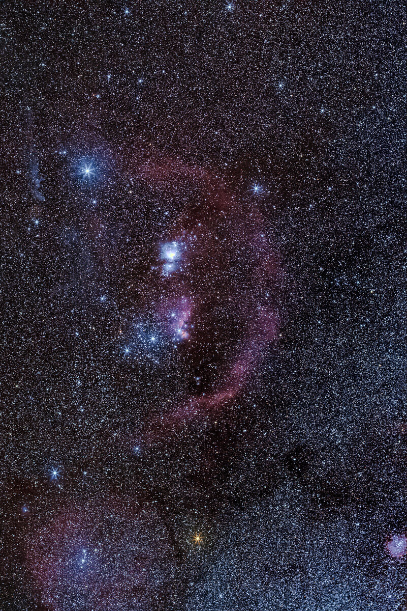 Orion - Tracked wide field photos - Photo Gallery - Cloudy Nights