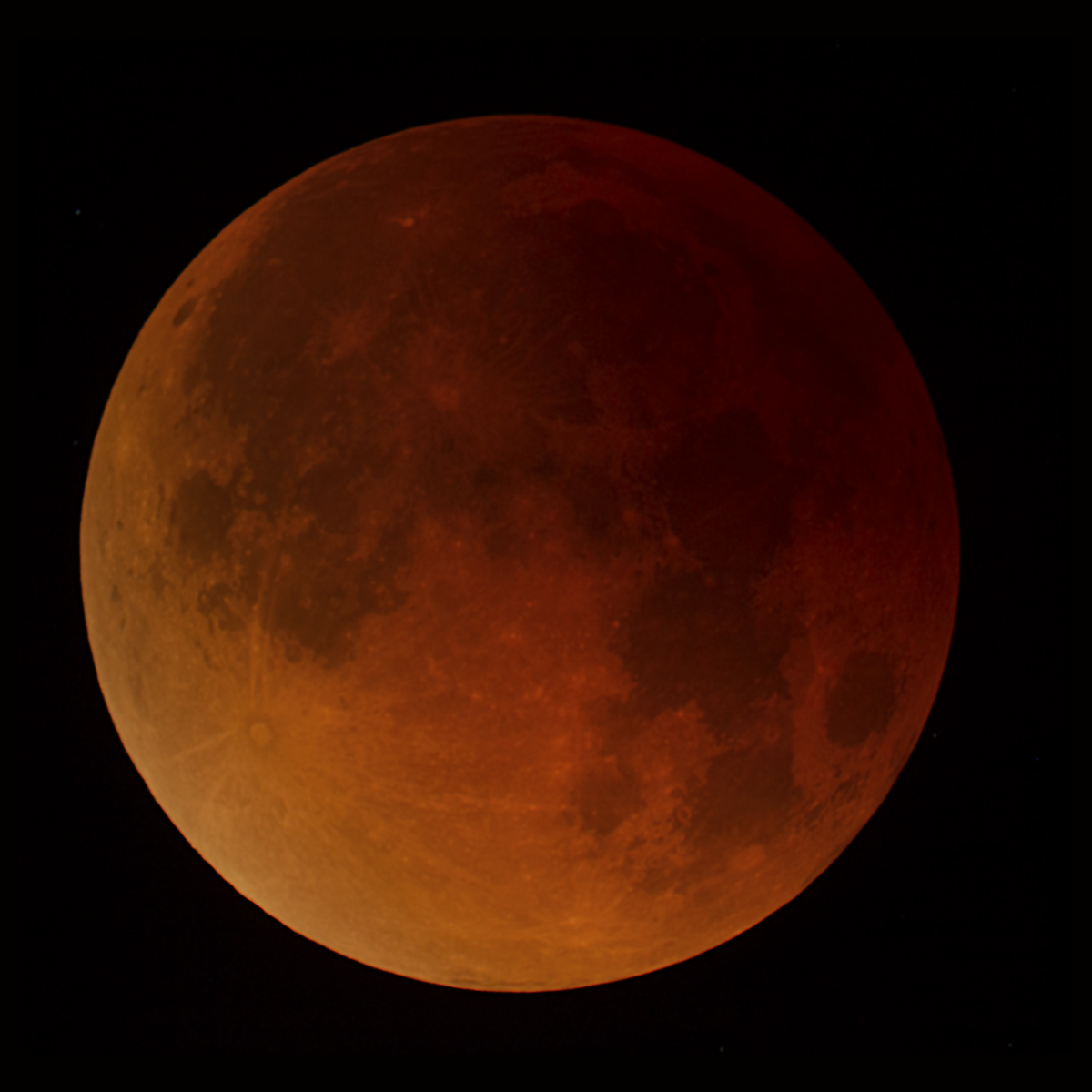 Super Blue Blood Moon Jan 2018 - Warp's Images - Photo Gallery - Cloudy ...