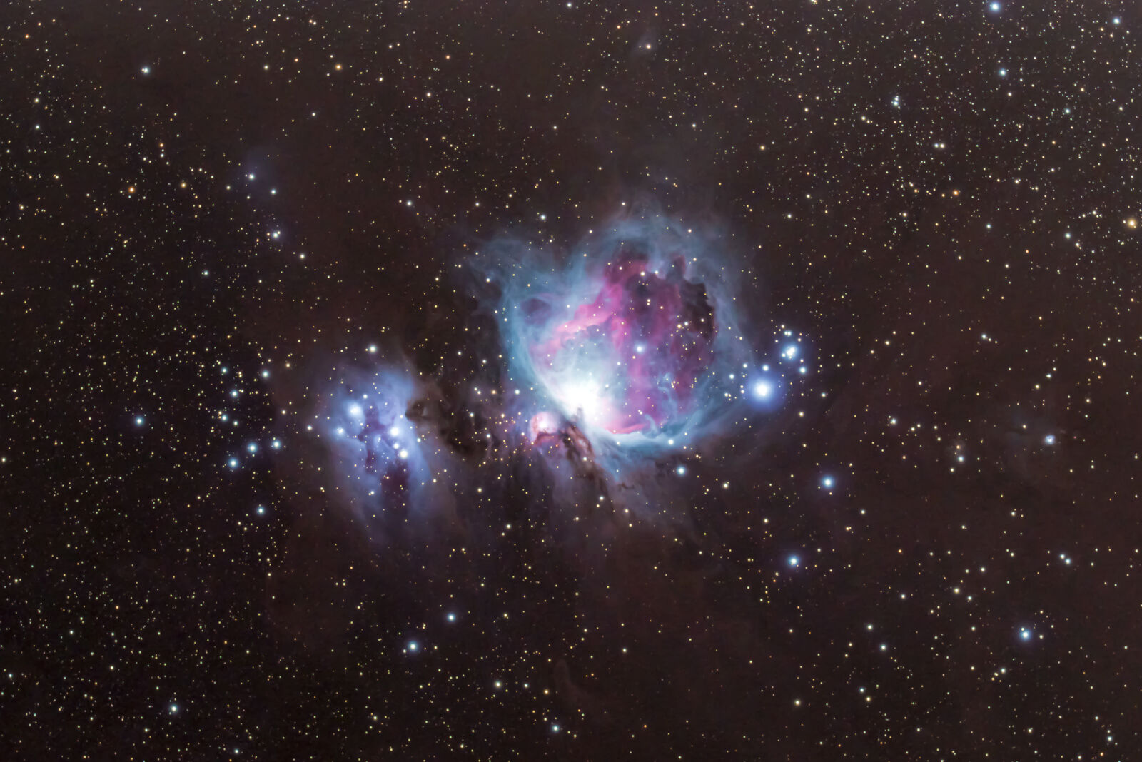 Orion Nebula 200119 - Messier Objects - Photo Gallery - Cloudy Nights