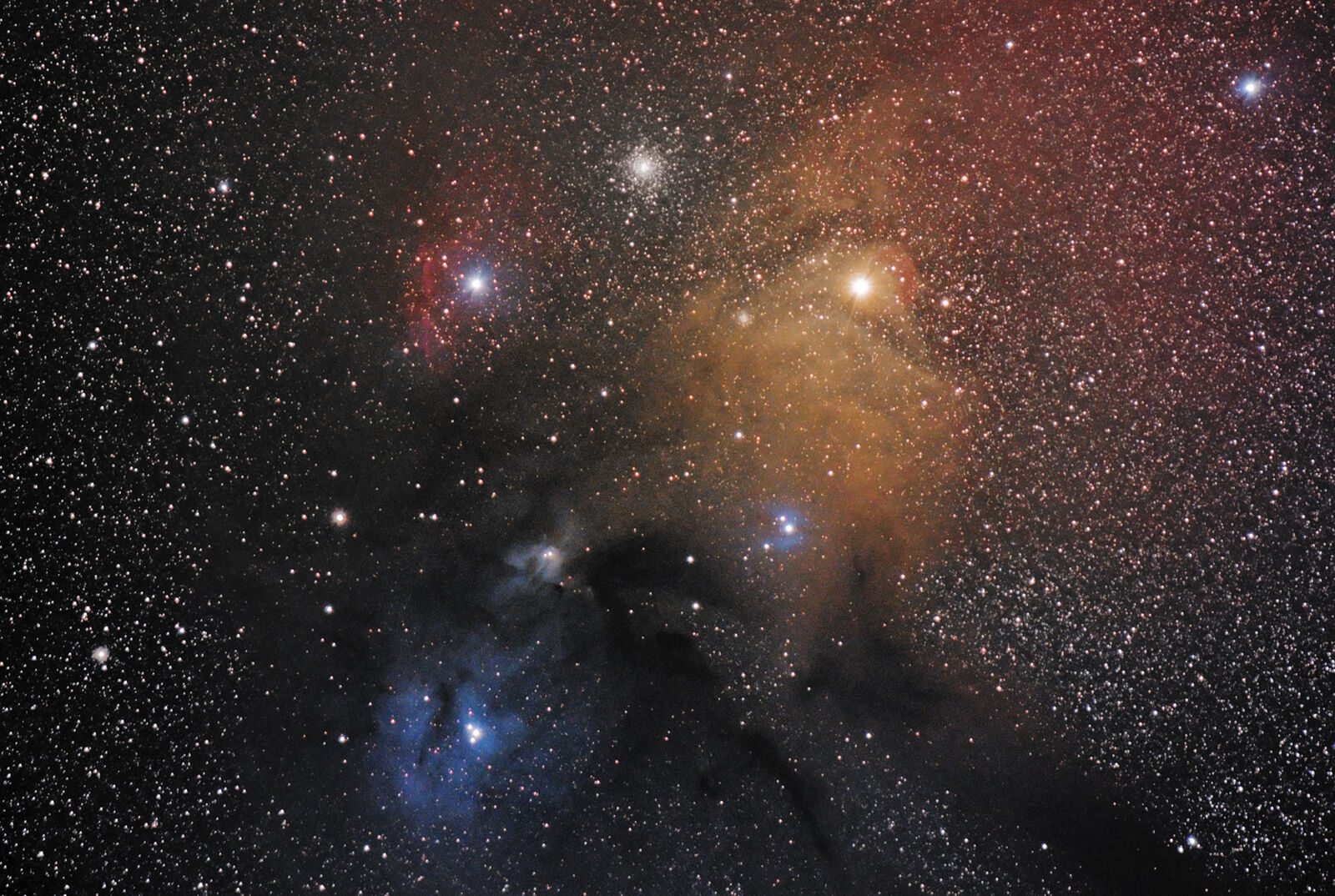 Rho Ophiuchi Cloud Complex - Piggy-Back Images - Photo Gallery - Cloudy ...