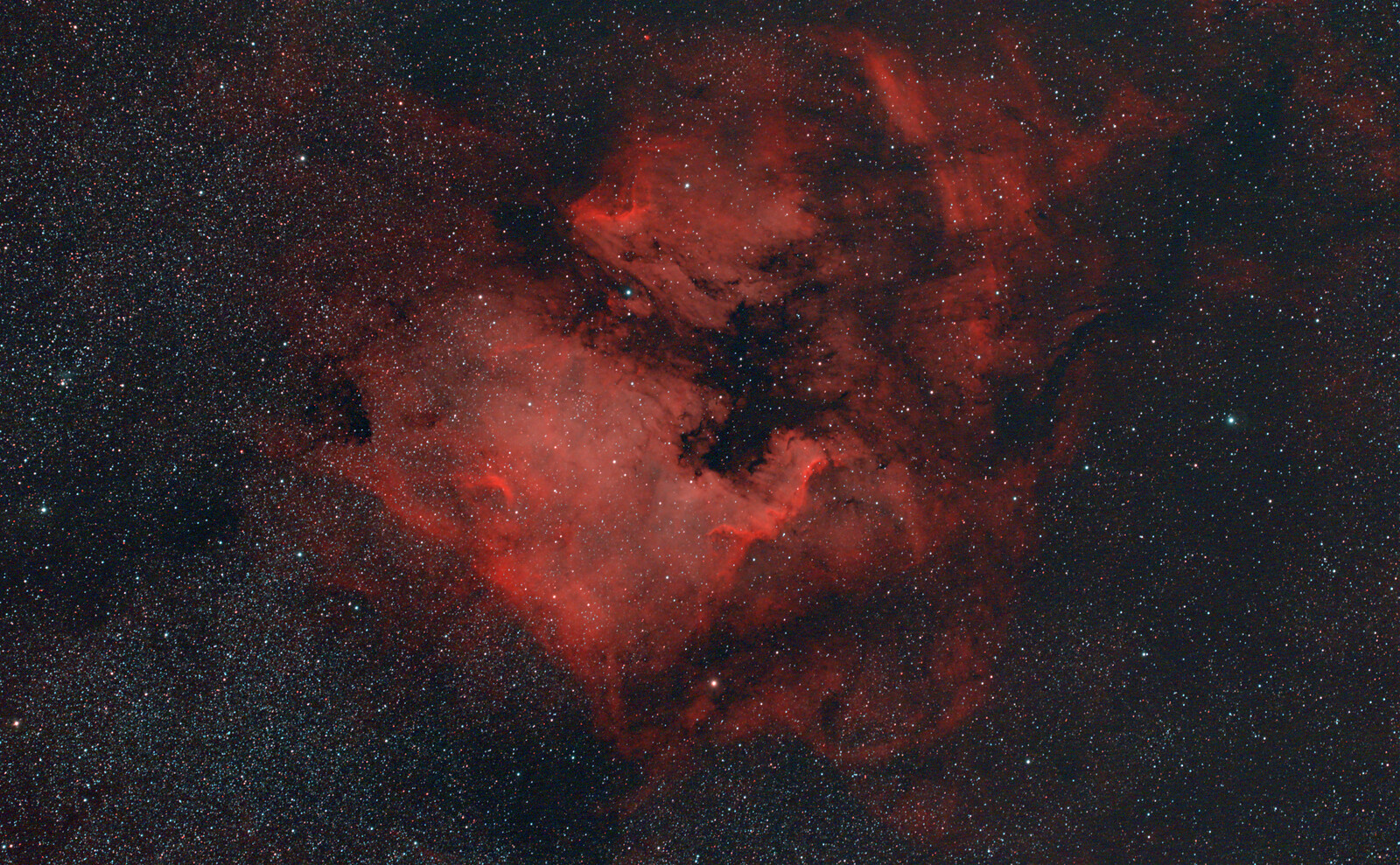 First Light Pelican Nebulae Ngc 5070 Cygnus Deep Sky Imaging Photo Gallery Cloudy Nights 