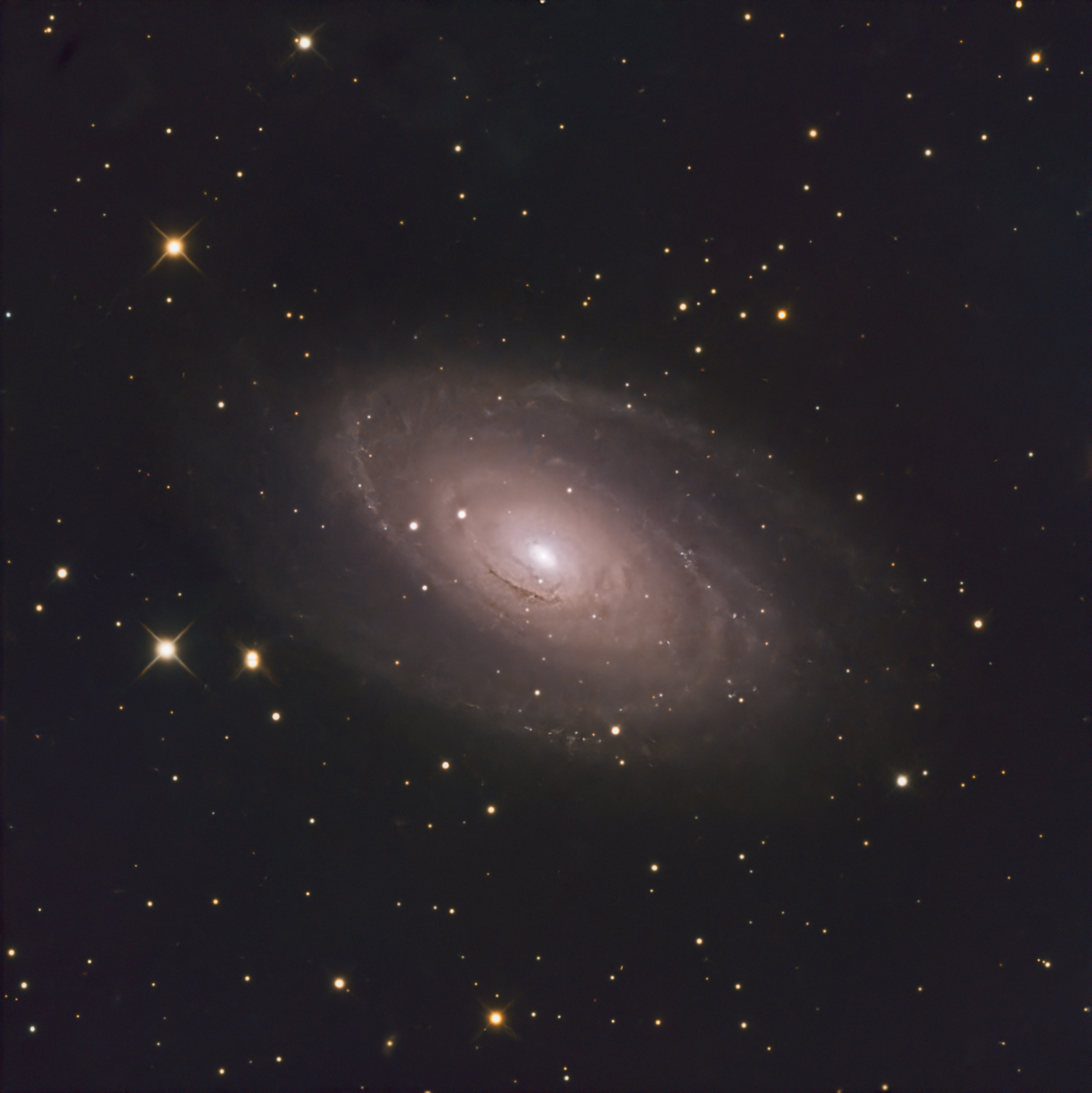 M81 - Bode's Galaxy - 10 March 2025 - Deep Sky Objects - Photo Gallery ...