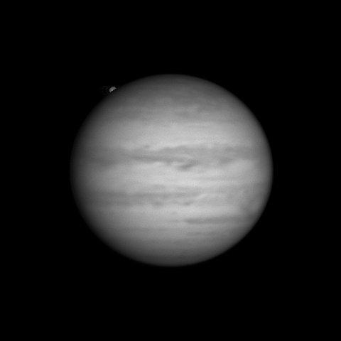 2024.02.01 0038.8 Ganymede comes out of occultation - Planetary Images ...