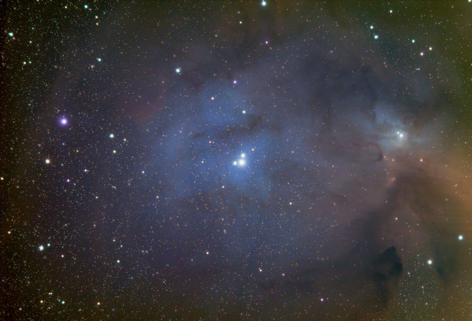 Rho Ophiuchi Nebula Asi294mc Pro Photo Gallery Cloudy Nights