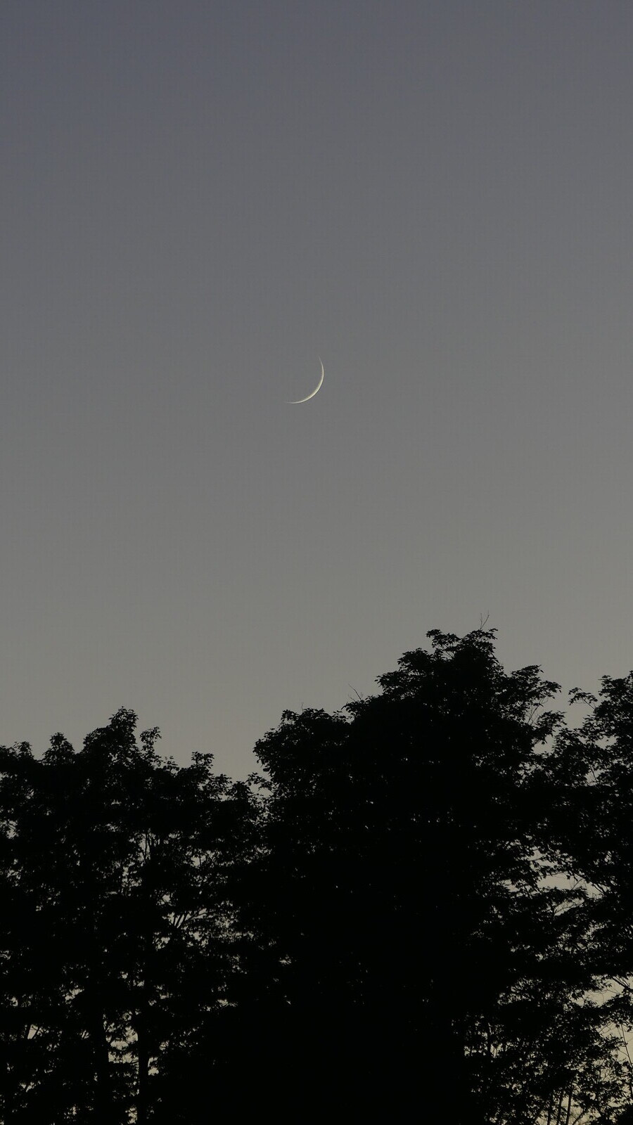 Crescent Moon - Astro - Photo Gallery - Cloudy Nights