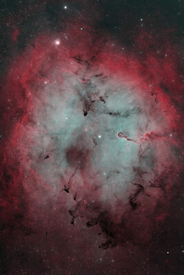 IC1396 Narrowband - Experienced Deep Sky Imaging - Cloudy Nights