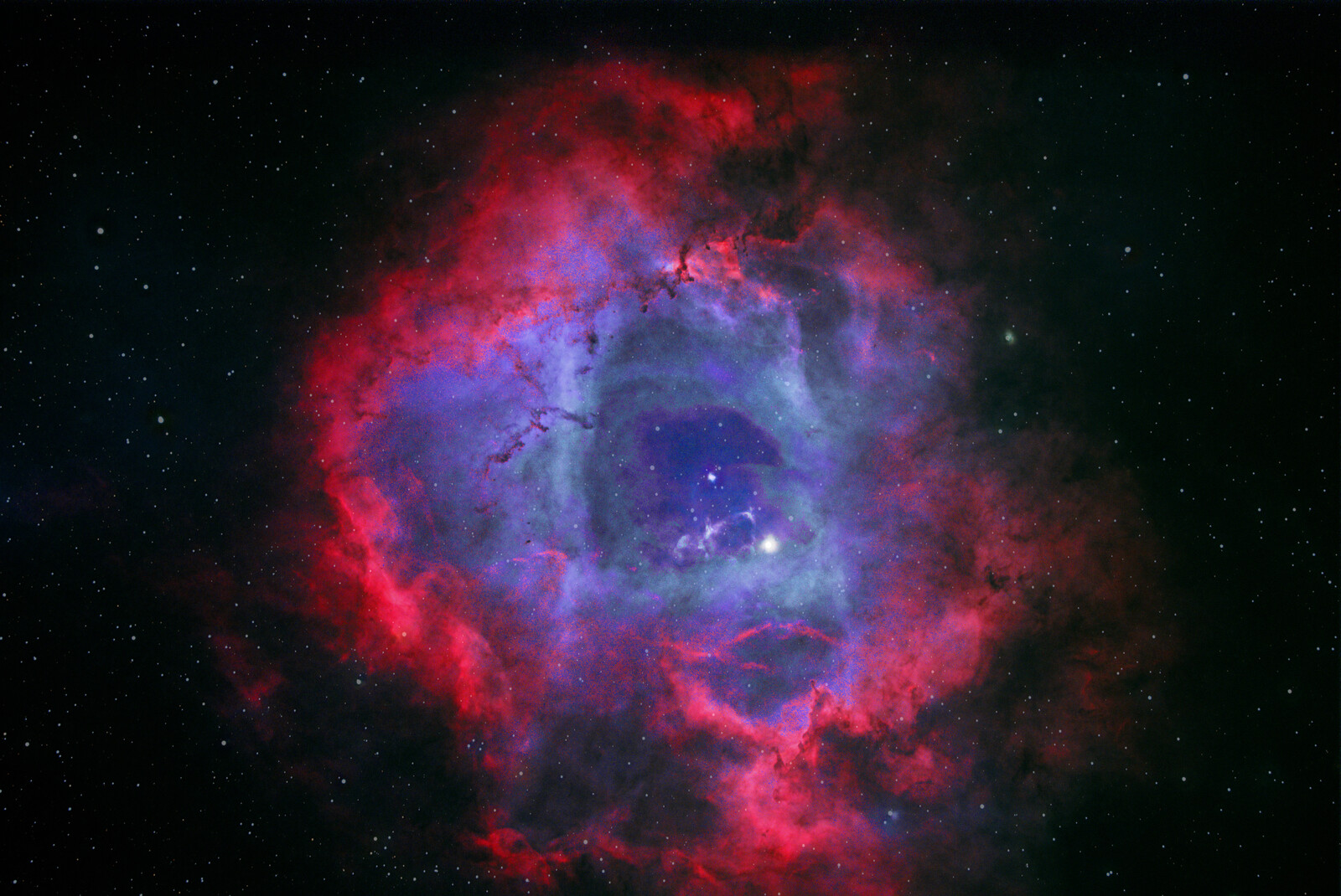 NGC 2238 Rosette Nebula - Astrophotography - Photo Gallery - Cloudy Nights