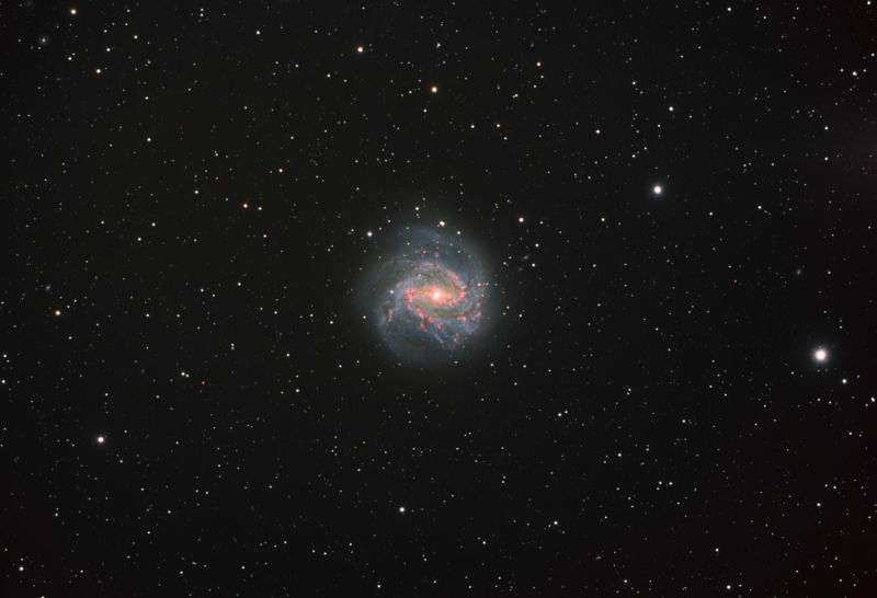 Messier 83 - Southern Pinwheel Galaxy - Photo Gallery - Cloudy Nights