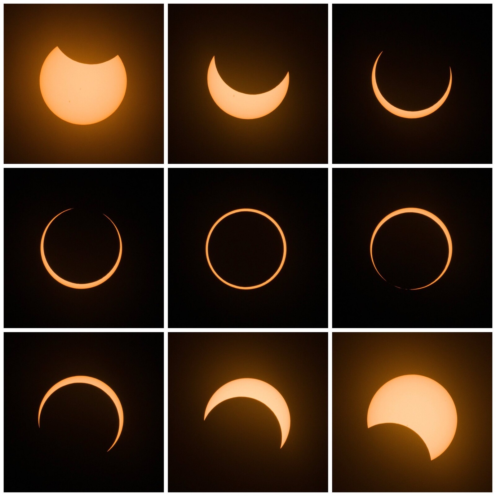 2023 Annular Eclipse Collage - 2023 Annular Eclipse - Photo Gallery ...