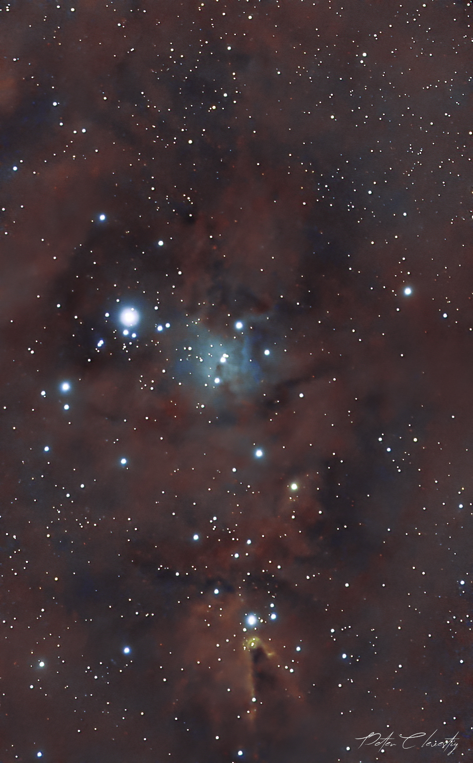 Cristmastree Cluster - Seestar S50 - Photo Gallery - Cloudy Nights