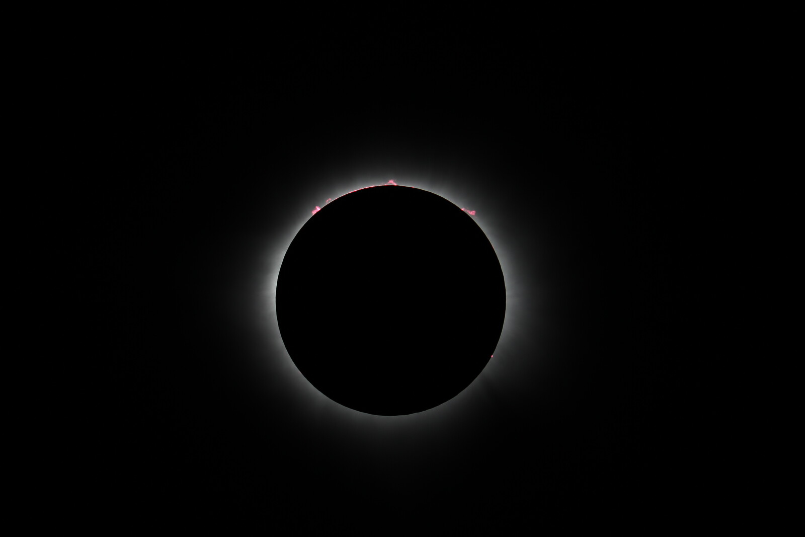 Totality with 4 Solar Prominences - Eclipse 2024 Totality - Photo ...