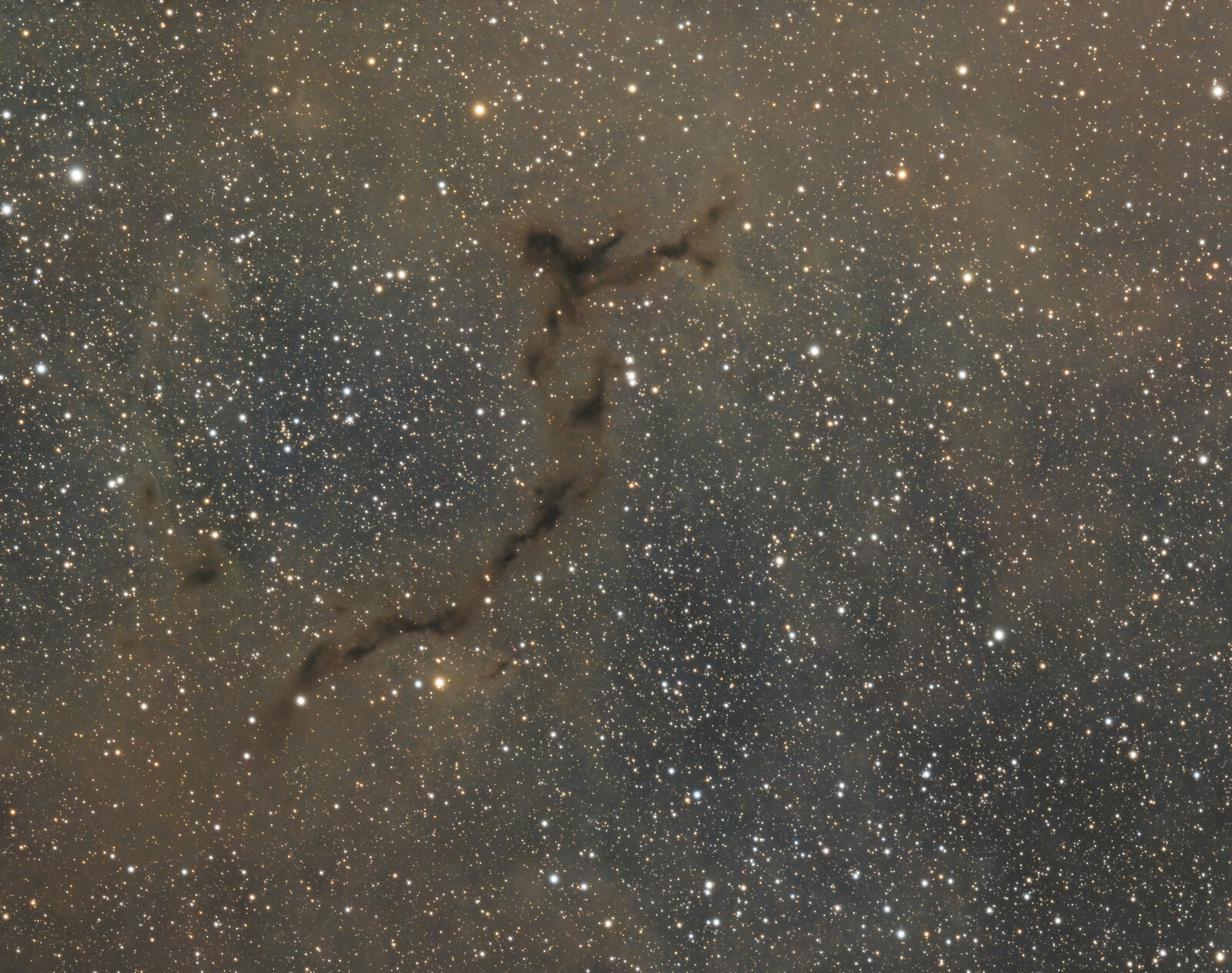 B150 (Seahorse Nebula) - DSOs Summer 2024 - Photo Gallery - Cloudy Nights