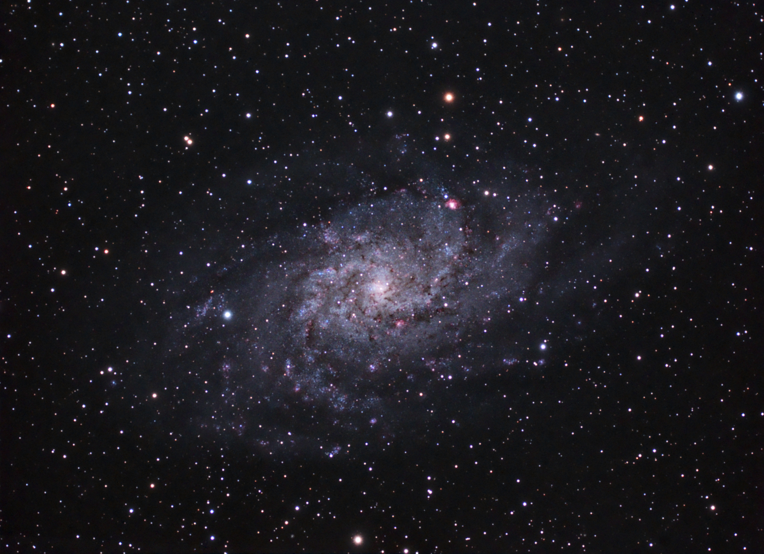 Messier 33 (Size: Large) - Charlie Hein's photos - Photo Gallery ...