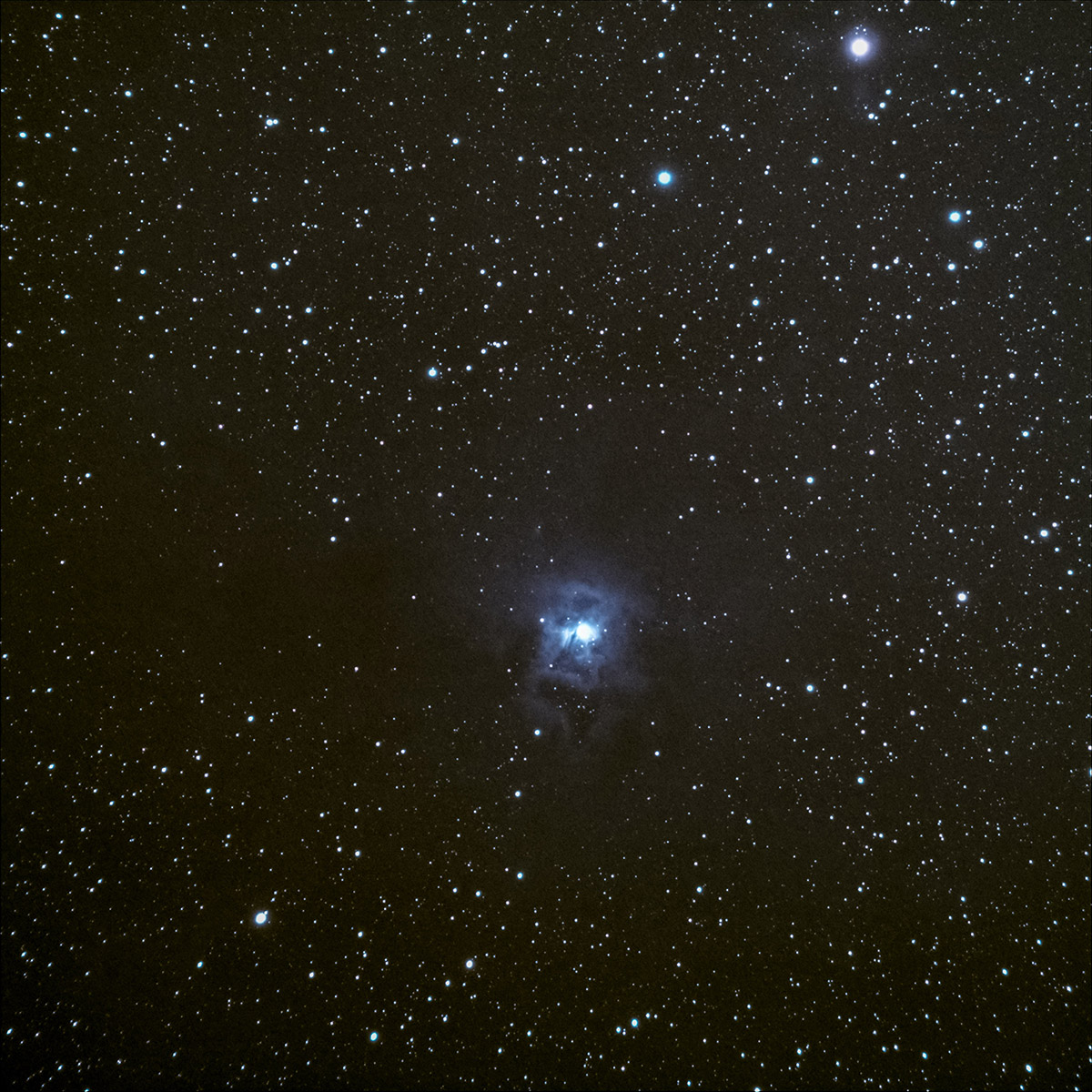 Iris Nebula - NGC 7023 - Ted's Images - Photo Gallery - Cloudy Nights