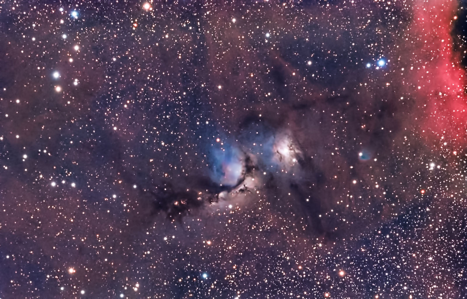 orion nebula a reflection nebula