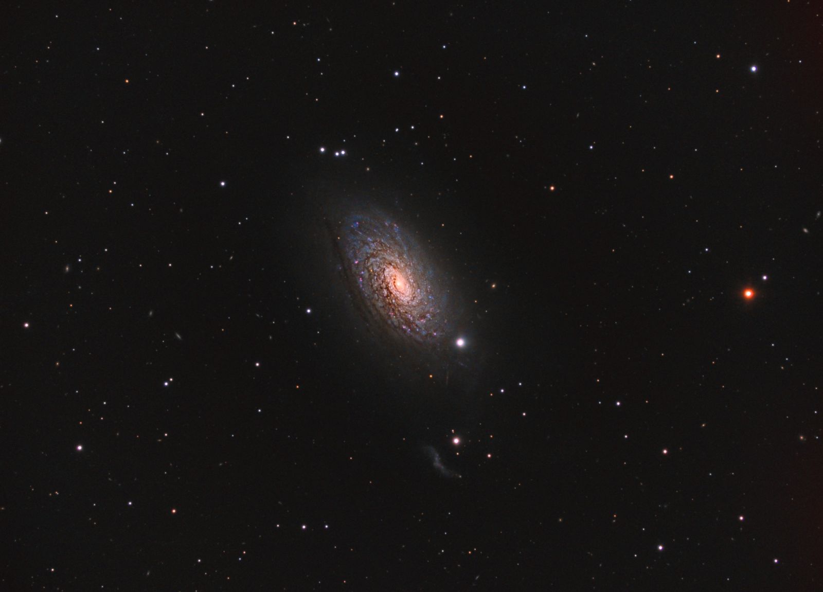 M63 The Sunflower Galaxy - Galaxies - Photo Gallery - Cloudy Nights