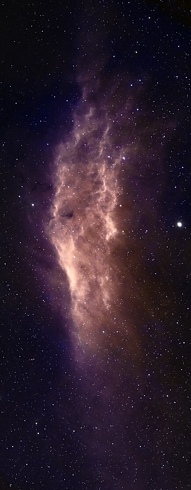 California Nebula - AstroPics - Photo Gallery - Cloudy Nights