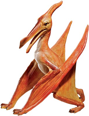 pterodactyl for sale