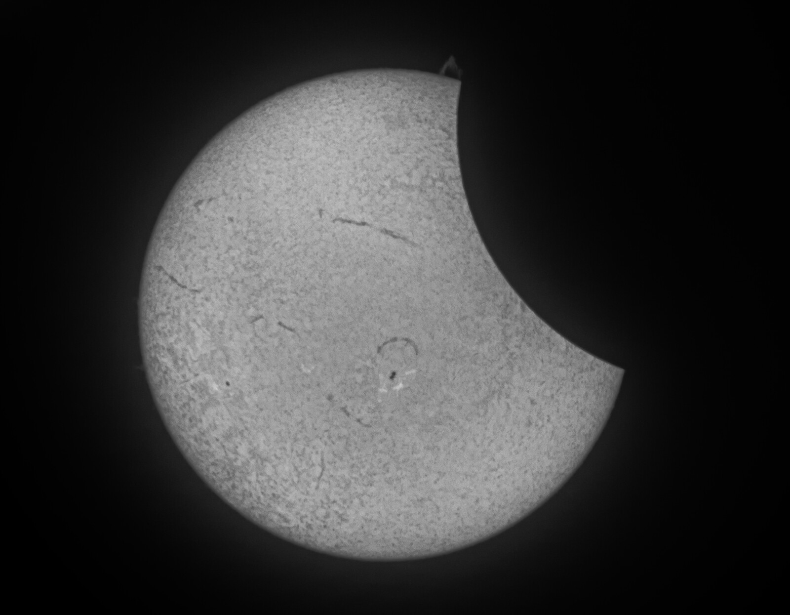 Solar Eclipse H-alpha Lunt 50mm April 08 2024 Moore SC - Solar - Photo ...