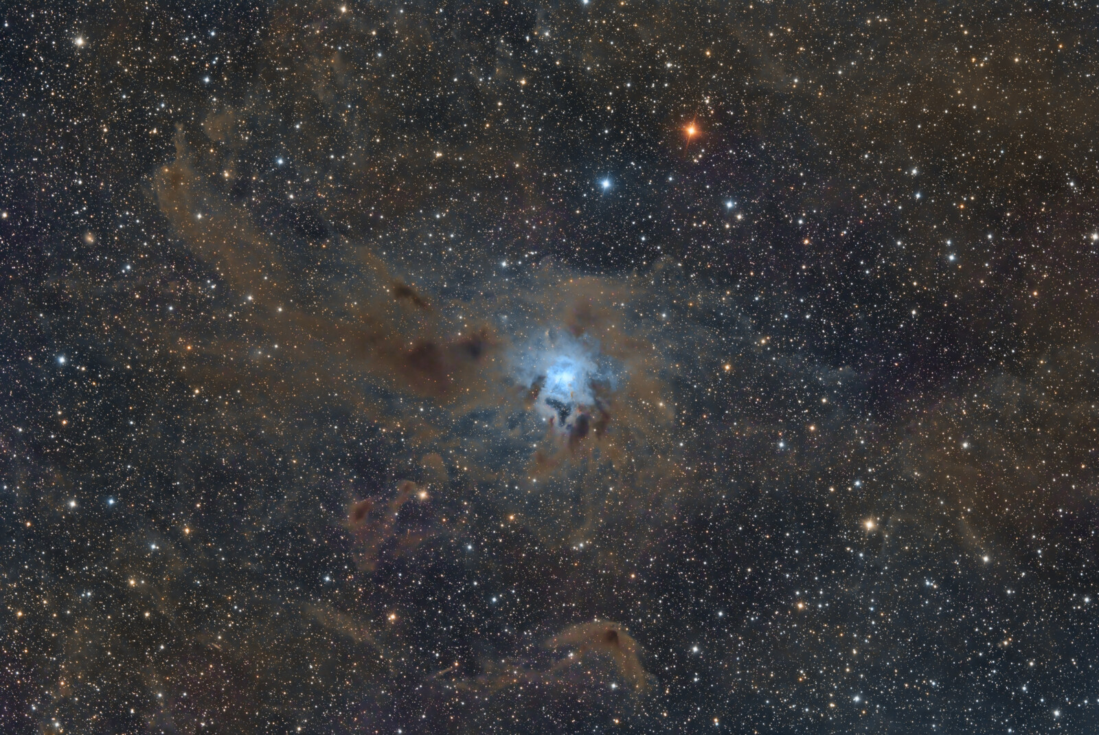 The Iris Nebula (NGC 7023) - Deep Sky - Photo Gallery - Cloudy Nights