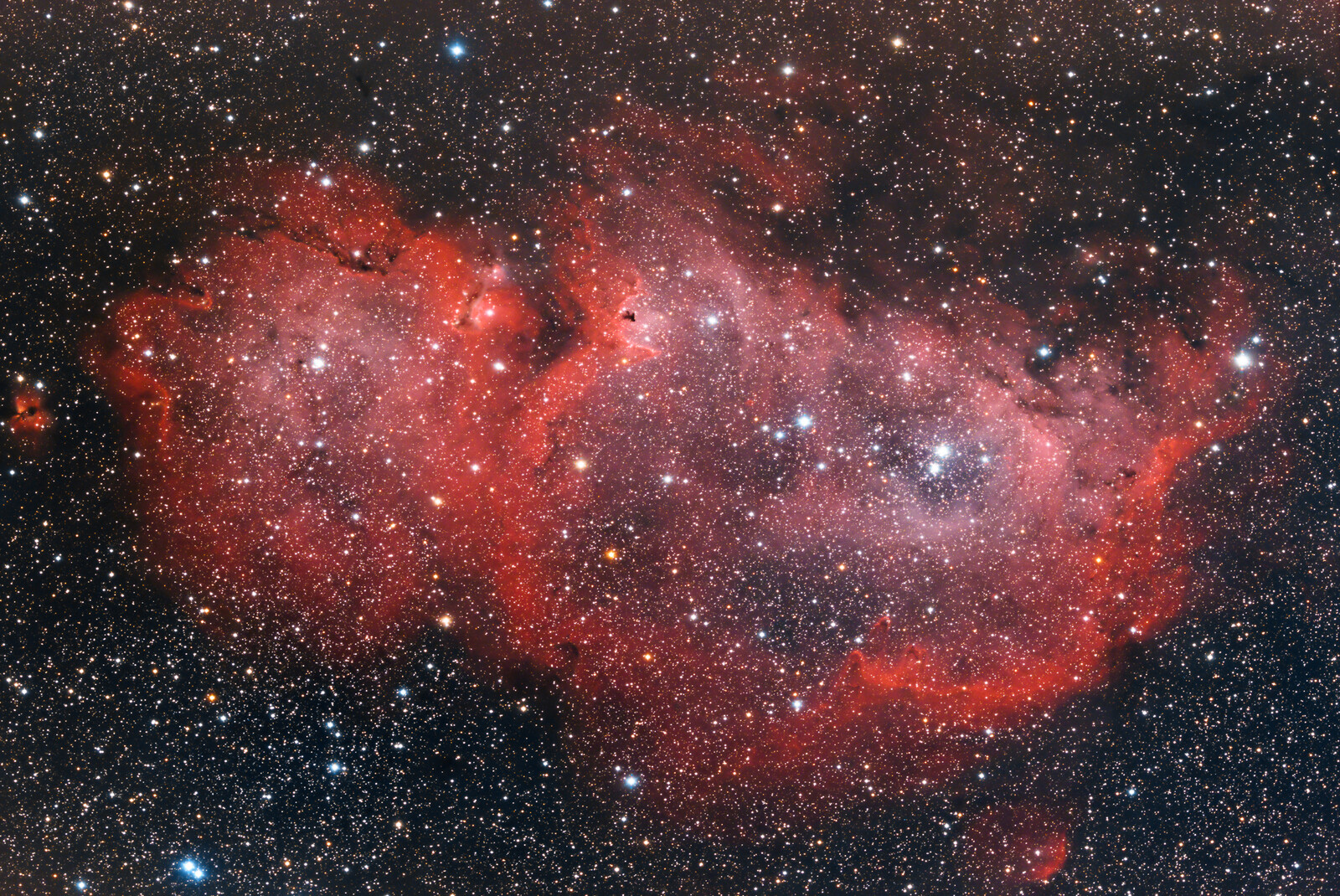 Soul Nebula (IC 1848) - Deep Sky - Photo Gallery - Cloudy Nights