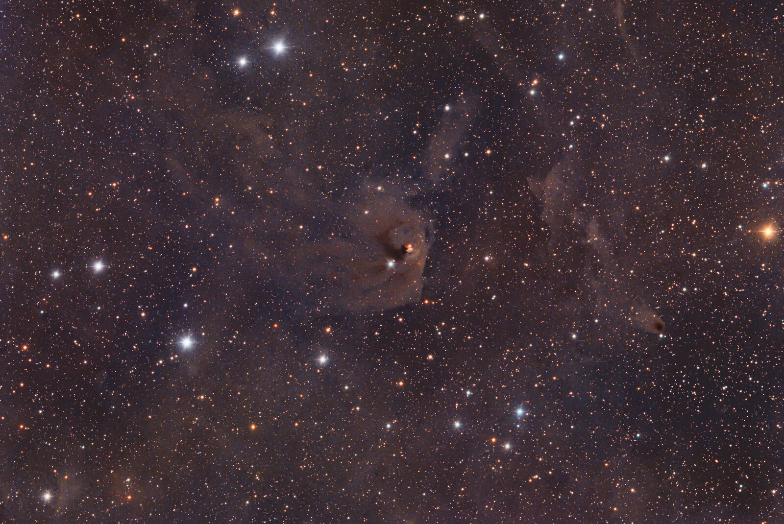 Hind's Variable Nebula (NGC 1555) - Deep Sky - Photo Gallery - Cloudy ...