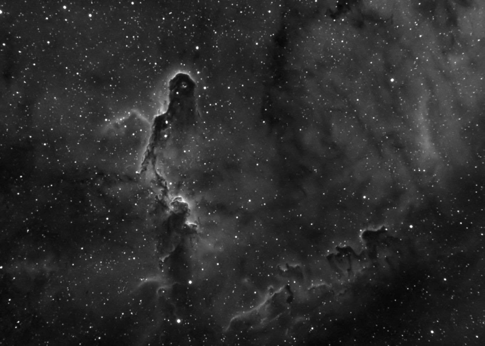 Elephant Trunk - Deep Sky - Photo Gallery - Cloudy Nights