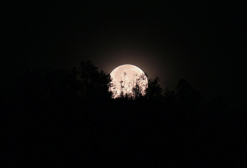 Beautiful moon without telescope. - Lunar - Photo Gallery - Cloudy Nights