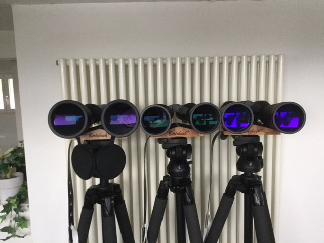 APM 20x70 MS ED initial and final impressions Binoculars