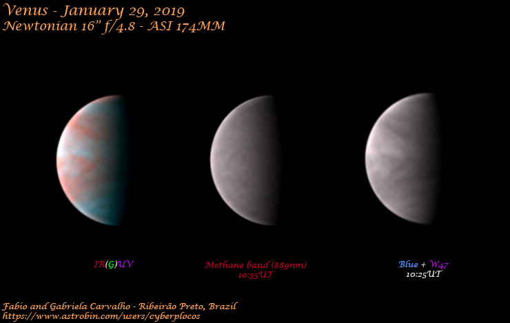 Venus - January 29, 2019 - Major & Minor Planetary Imaging - Cloudy Nights