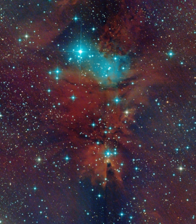 NGC 2264 and Cone Nebula - DSLR, Mirrorless & General-Purpose Digital ...