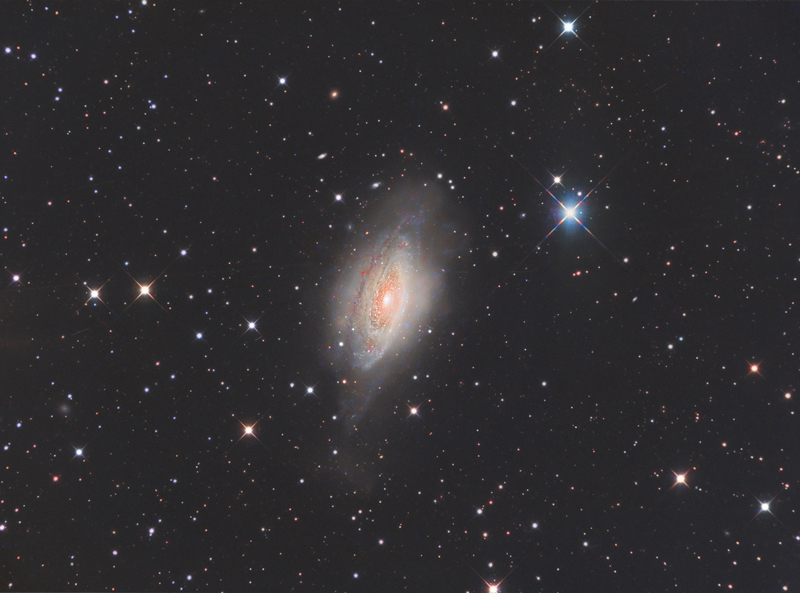 Ngc 3521 Galaxy last step - Experienced Deep Sky Imaging - Cloudy Nights