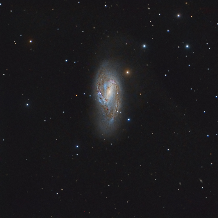 Messier 66, the last of the Triplet - Experienced Deep Sky Imaging ...