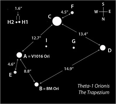 trapezium orion