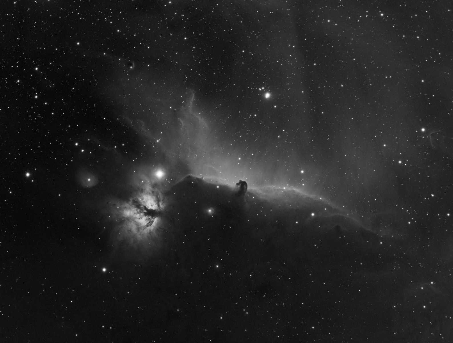 Horsehead in HA. a very popular target right now. - Experienced Deep ...