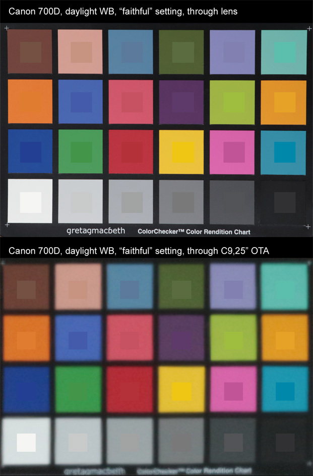 Color Card (d a y l i g h t s)