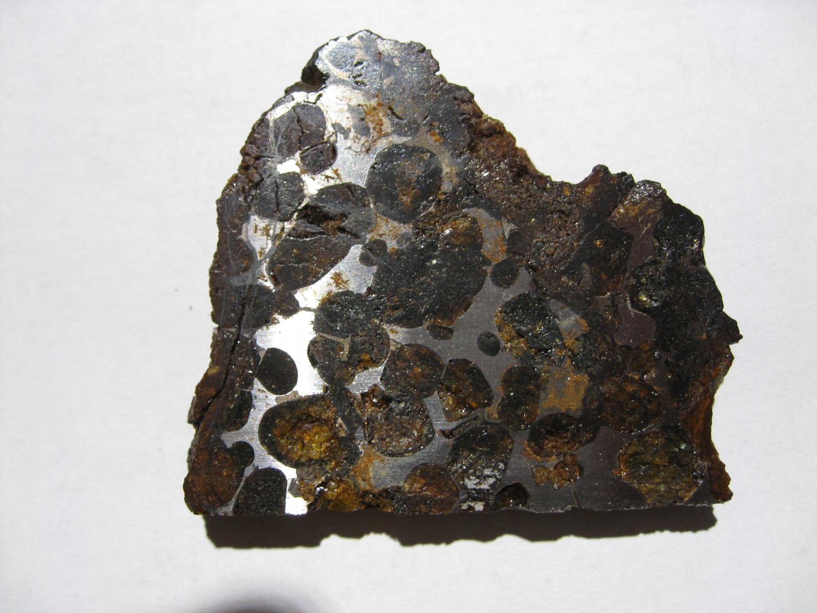 pallasite meteorite