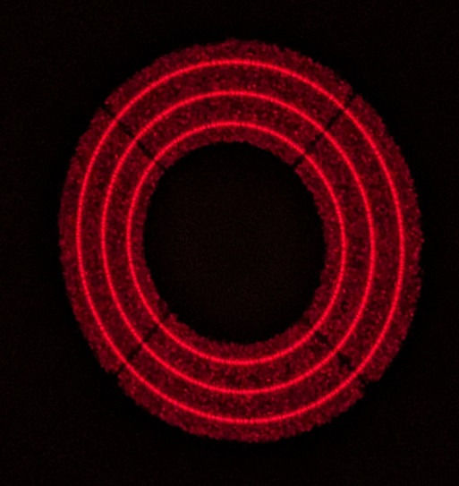 How to collimate a Howie Glatter collimator - Cats & Casses - Cloudy Nights