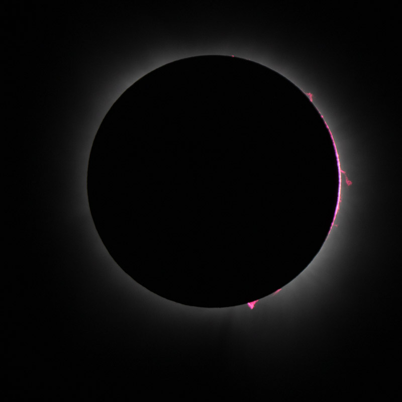 solar prominences during totality - North American Total Solar Eclipse ...