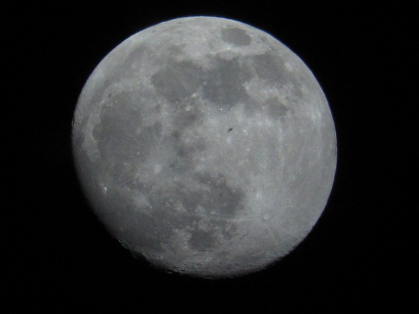 A black spot in the Moon. Please, what is this? Lunar Observing and