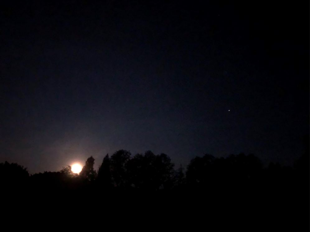 Moonset with Arcturus and Antares - Lunar Observing and Imaging ...