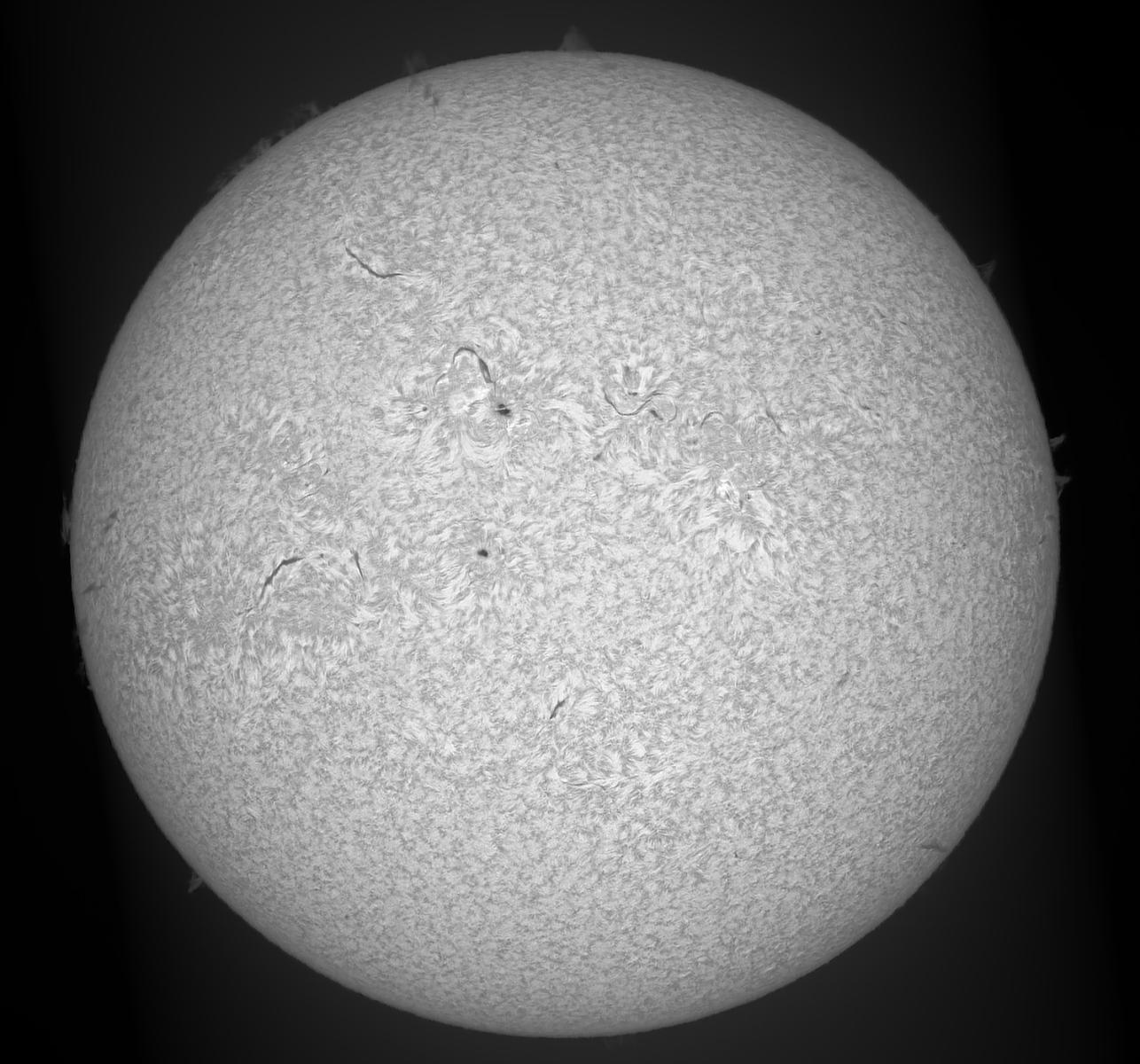 H-beta spectroheliograph image taken with 80ED telescope -- 7 May 2023 ...