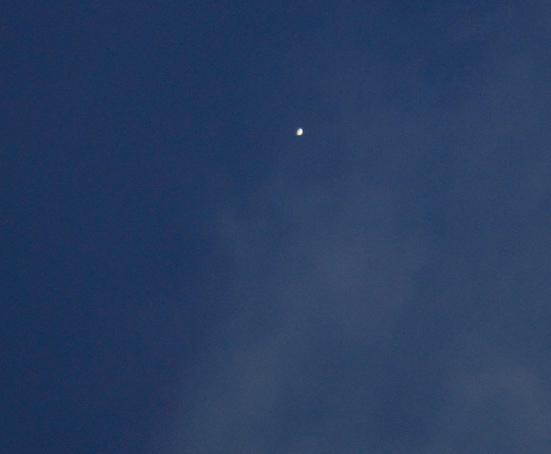 Daytime Venus with C5 -Handheld - Major & Minor Planetary Imaging ...