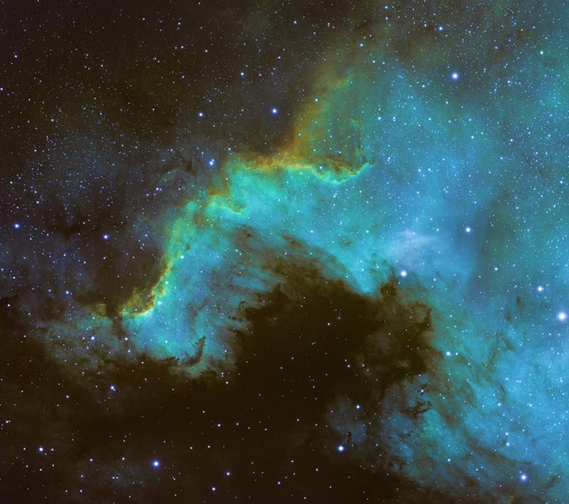 Cygnus Wall In Sho Experienced Deep Sky Imaging Cloudy Nights 