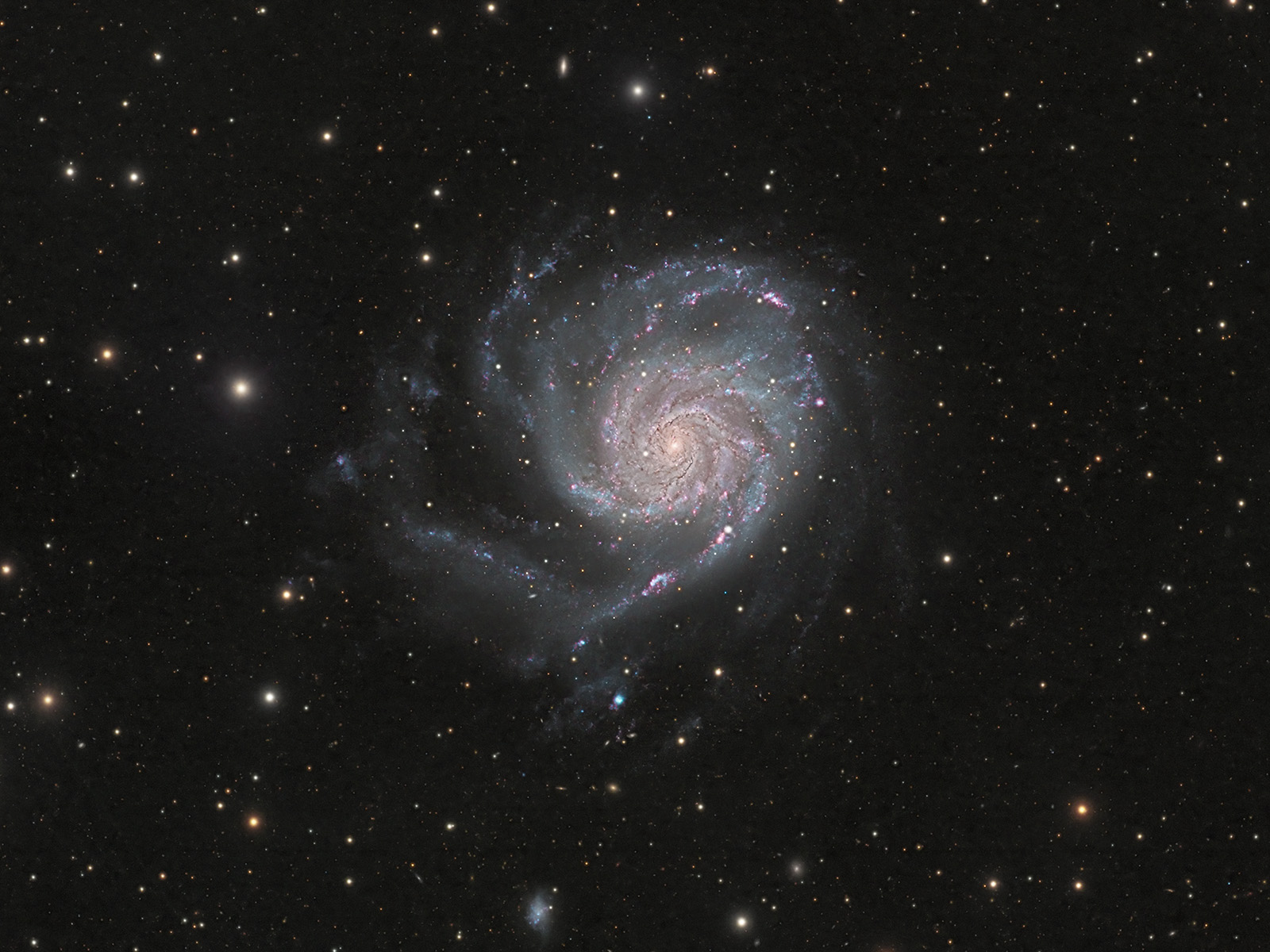 M101_Crop.jpg - Size: 439.02KB 